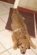 DSC04151.JPG